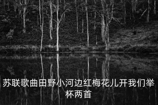 我們舉杯，蘇聯歌曲田野小河邊紅梅花兒開我們舉杯兩首