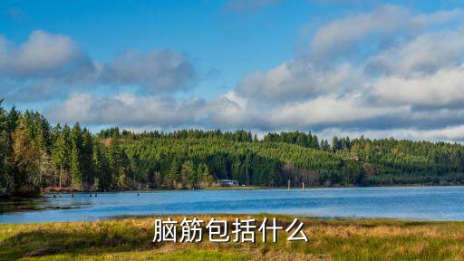 腦筋，什么是腦筋