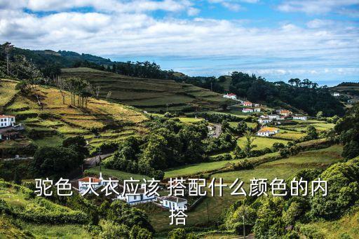 駝色大衣怎么搭配,【新潮搭配攻略（13）
