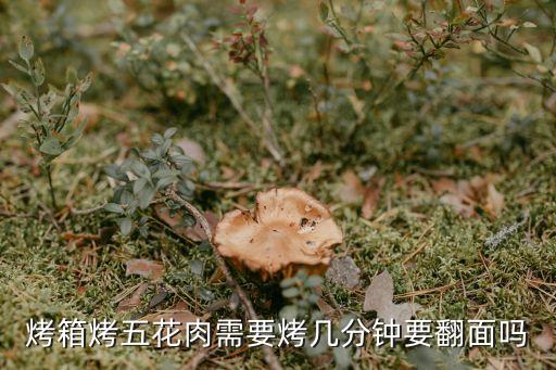 烤箱烤五花肉需要烤幾分鐘要翻面嗎