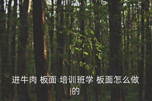 進(jìn)牛肉 板面 培訓(xùn)班學(xué) 板面怎么做的