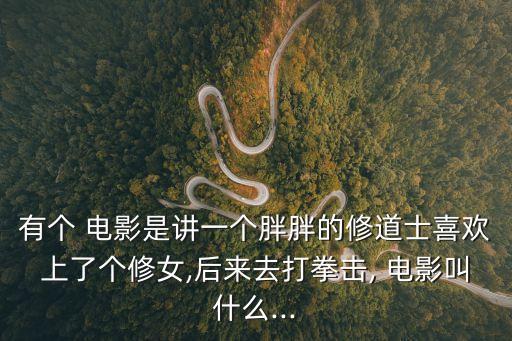 有個 電影是講一個胖胖的修道士喜歡上了個修女,后來去打拳擊, 電影叫什么...