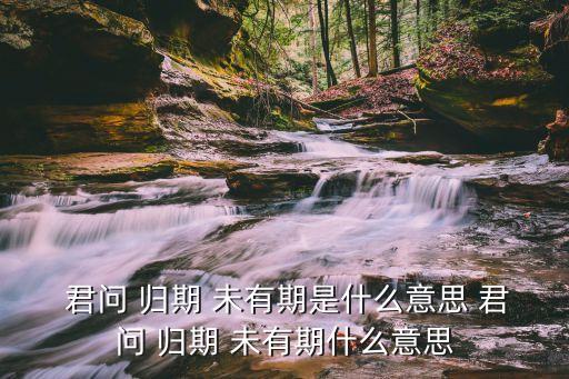 君問歸期未有期,第二集:我的投選日期有誤!