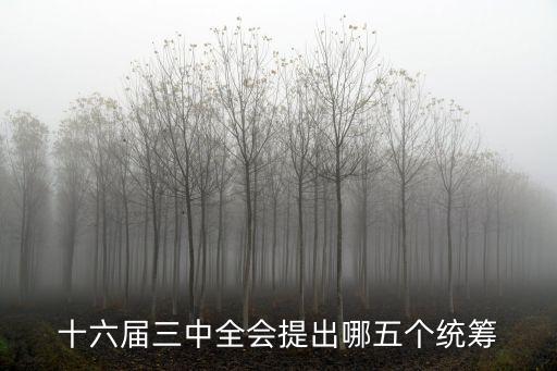 十六屆三中全會提出哪五個統(tǒng)籌