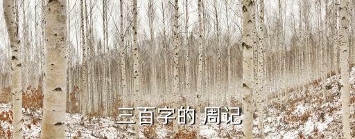  三百字的 周記