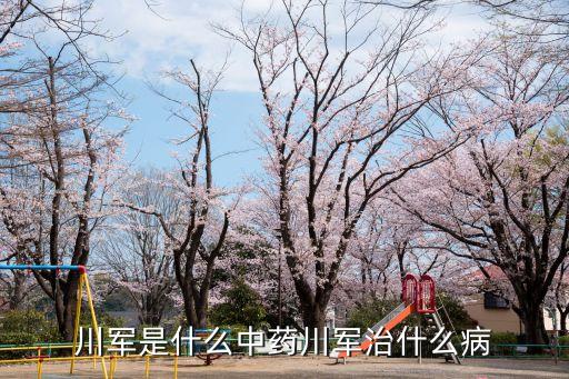 川軍的功效與作用，中藥中的川軍什么功效啊