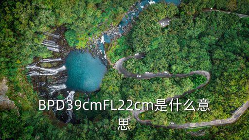 BPD39cmFL22cm是什么意思