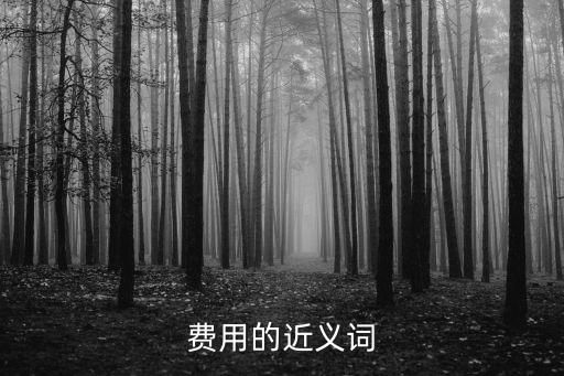 成本的近義詞，費用的近義詞