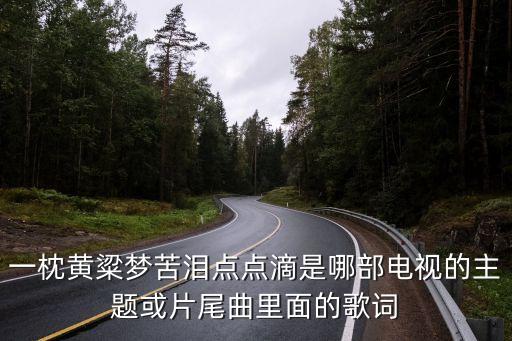 一枕黃粱夢(mèng)苦淚點(diǎn)點(diǎn)滴是哪部電視的主題或片尾曲里面的歌詞