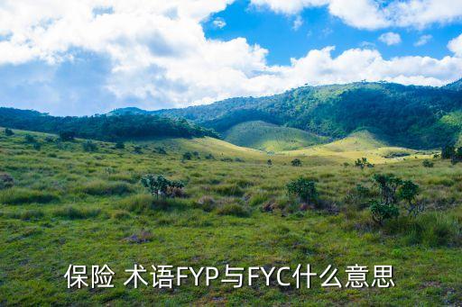 保險術語,保險公司將再保險保險業務轉交他人收取費用