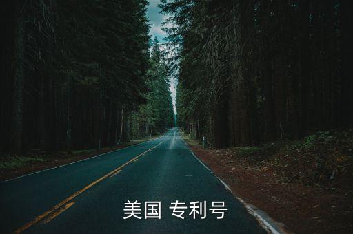 美國 專利號