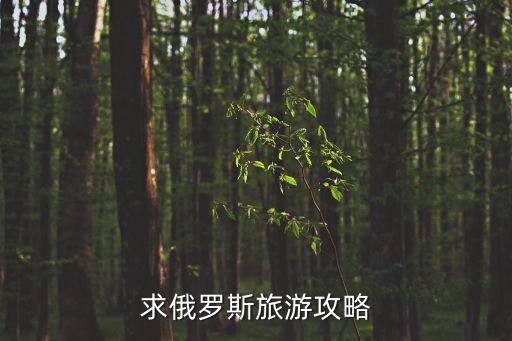 俄羅斯旅游攻略，求俄羅斯旅游攻略