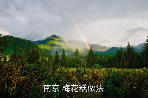 梅花糕圖片,四川省最早的餅品種之一梅花餅五個土豆切成厚片