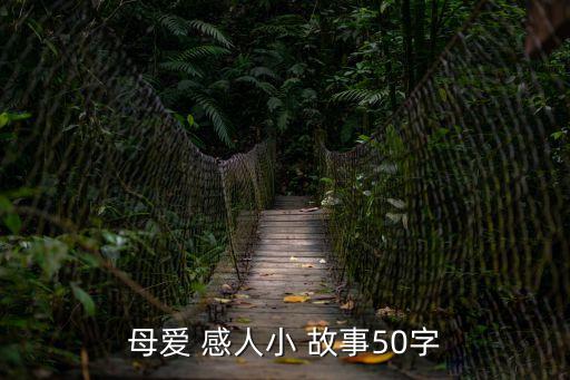 母愛 感人小 故事50字