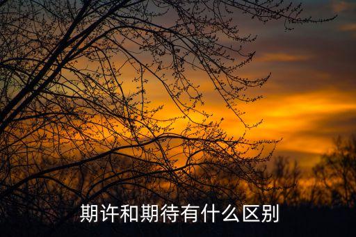  期許和期待有什么區別