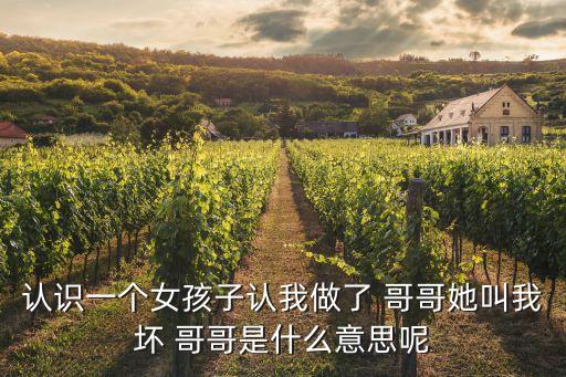 認(rèn)識一個女孩子認(rèn)我做了 哥哥她叫我壞 哥哥是什么意思呢