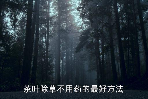 茶葉除草不用藥的最好方法