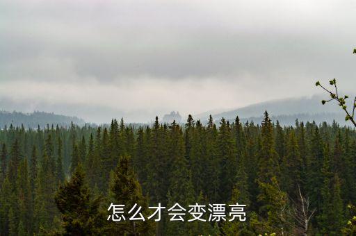 怎么才會變漂亮