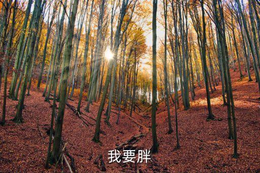 相撲運(yùn)動(dòng)員圖片，我要胖