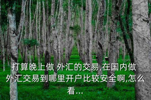 打算晚上做 外匯的交易,在國(guó)內(nèi)做 外匯交易到哪里開(kāi)戶比較安全啊,怎么看...