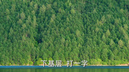 下基層  打一字