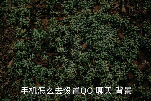  手機怎么去設置QQ 聊天 背景