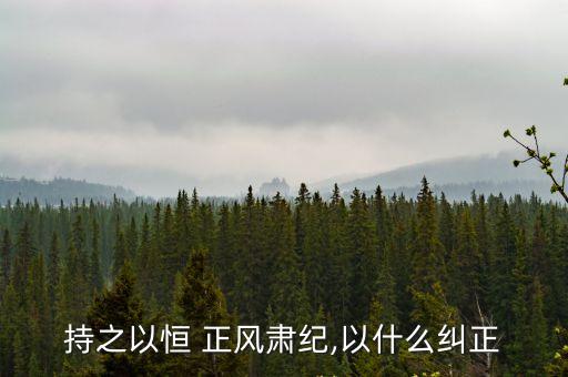 正風肅紀,四風介紹:形式主義官僚主義享樂主義奢靡之風四風