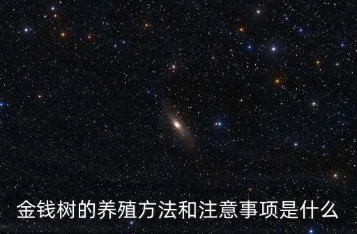 金錢樹的養(yǎng)殖方法和注意事項是什么