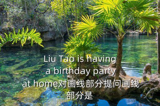 生日派對(duì)怎么畫(huà)，Liu Tao is having a birthday party at home對(duì)畫(huà)線部分提問(wèn)畫(huà)線部分是