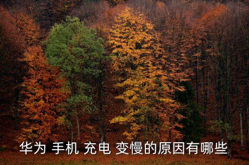 手機充電變慢,手機充電變慢是因為什么原因?