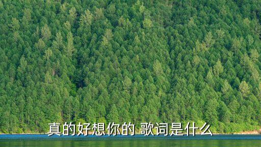 好想你歌詞,《我真的很想你》主打臺灣民歌