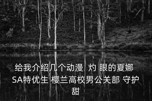 給我介紹幾個(gè)動(dòng)漫  灼 眼的夏娜 SA特優(yōu)生 櫻蘭高校男公關(guān)部 守護(hù)甜