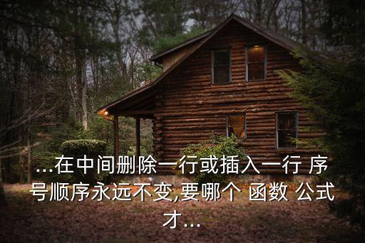 ...在中間刪除一行或插入一行 序號順序永遠不變,要哪個 函數(shù) 公式才...
