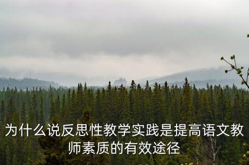 反思性教學，當今教師在教學中提倡反思性教學是古代先賢什么行為在當代的延伸