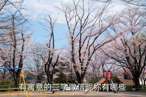 有寓意的二字微信昵稱有哪些