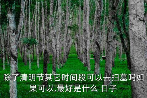上墳的日子有哪些,中國各地形成彈性作息習俗方便人們掃墓祭祖