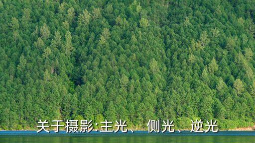 關于攝影:主光、 側光、逆光
