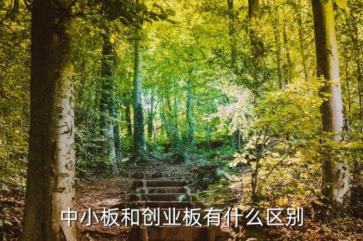 中小企業板,中小板證券交易市場是創業板過渡