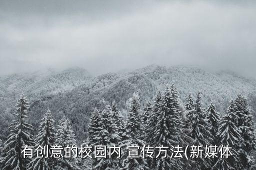 創(chuàng)新宣傳方式,如何快速提升網(wǎng)絡銷售額?
