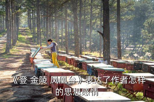 登金陵鳳凰臺賞析,天光與我之間起了一朵云比喻奸詐小人