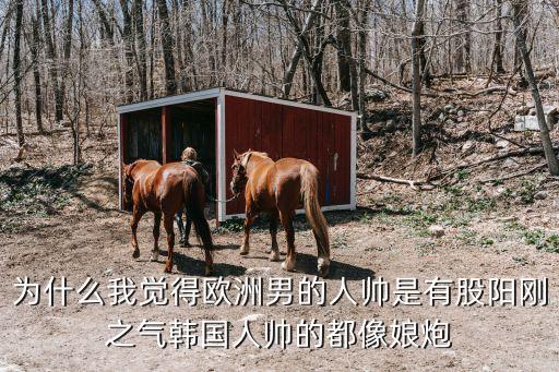 為什么我覺得歐洲男的人帥是有股陽剛之氣韓國人帥的都像娘炮