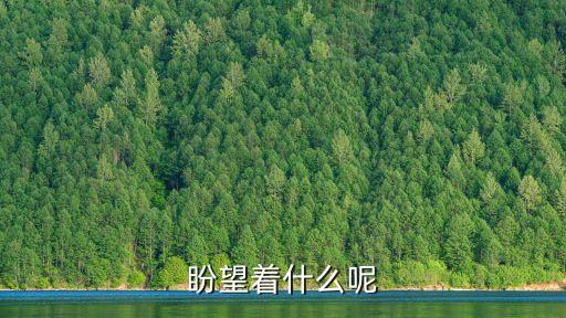 盼望著什么呢