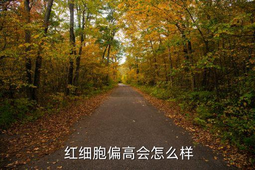 紅細(xì)胞偏高有什么危害,高貓紅細(xì)胞怎么說