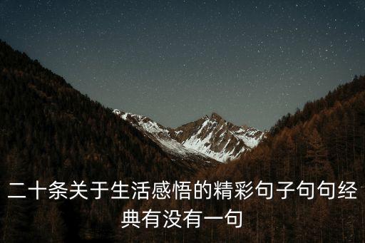 二十條關于生活感悟的精彩句子句句經典有沒有一句
