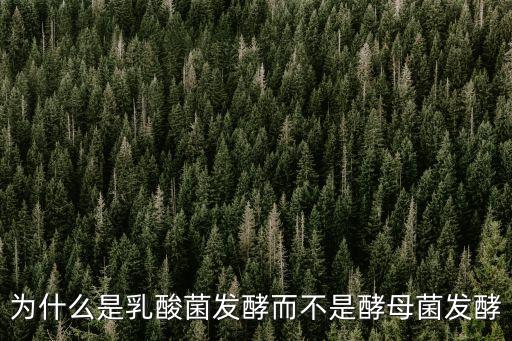 乳酸菌發(fā)酵，為什么是乳酸菌發(fā)酵而不是酵母菌發(fā)酵