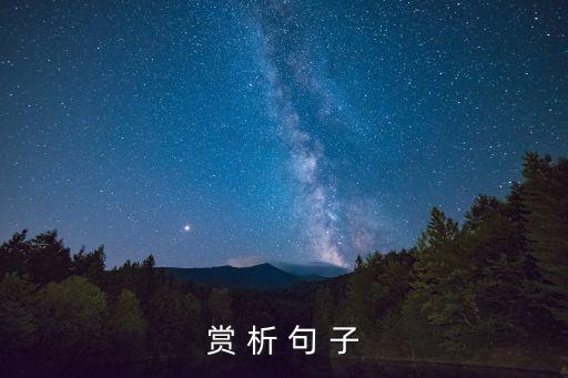 賞 析 句 子