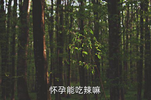 懷孕能吃辣嘛