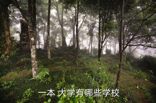一本大學有哪些,廈門大學是中國近代教育史上首位華僑大學