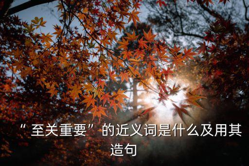 “ 至關重要”的近義詞是什么及用其造句