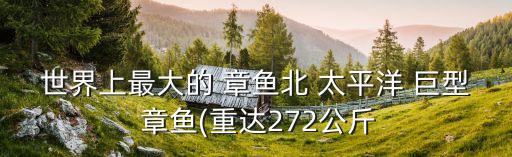 世界上最大的 章魚(yú)北 太平洋 巨型 章魚(yú)(重達(dá)272公斤